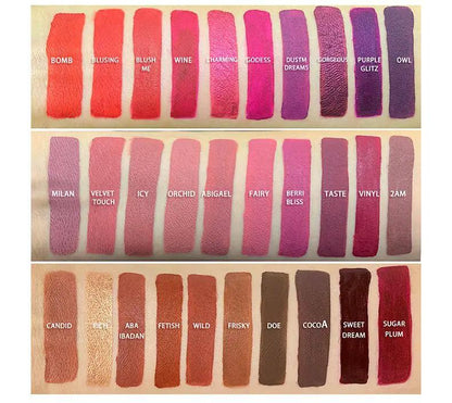 Velvet Lip Glaze Matte Lipstick Neutral Gloss Label by null