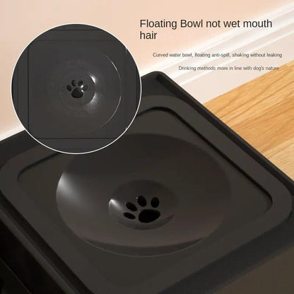 Stainless Steel Double Dog Bowls On Adjustable Height Stand Elevates Food And Water For Dogs by null