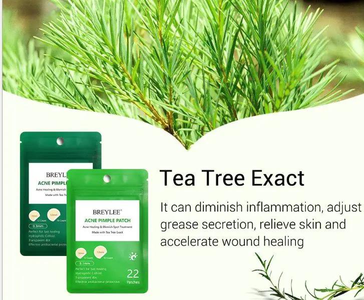 Tea Tree Acne Patch Ultra Thin Transparent Hydrocolloid Absorbs Secretions Fades Acne Marks by null