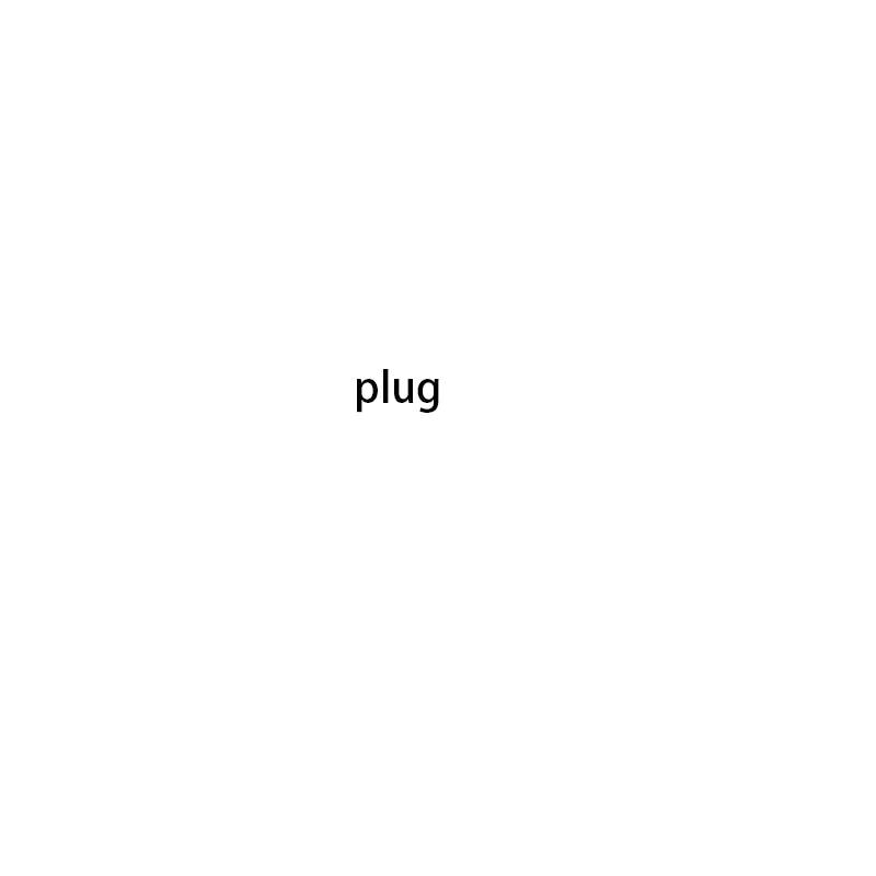 Plug word centered on a white background.